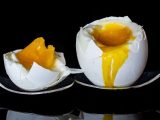 Jajko wartości odżywcze